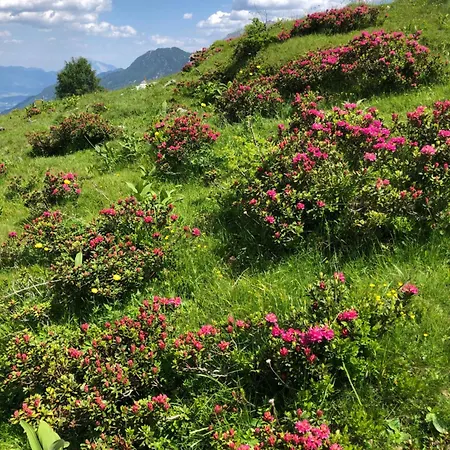 Baerenhuette Troepolach-nassfeld * Jenig