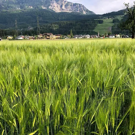 Baerenhuette Troepolach-nassfeld *