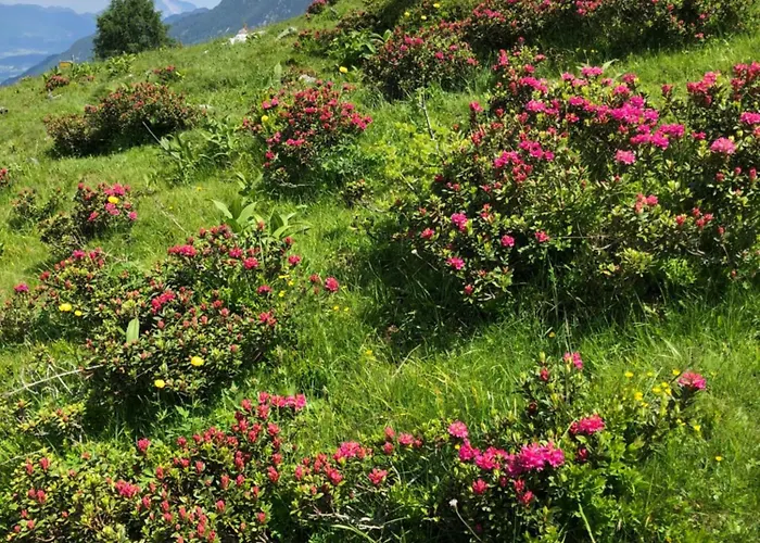 Baerenhuette Troepolach-nassfeld * יאניג