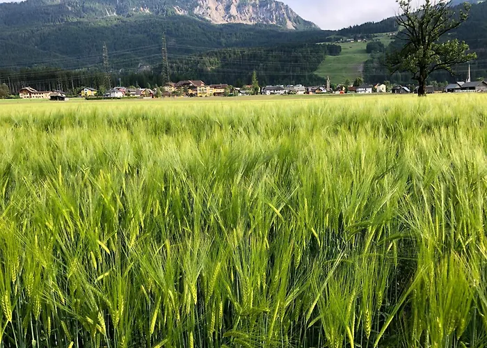 Baerenhuette Troepolach-nassfeld *